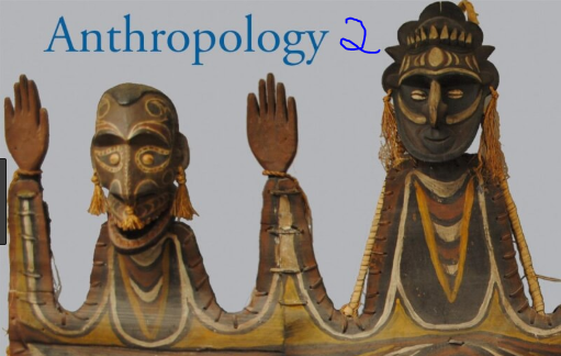 anthropology 2