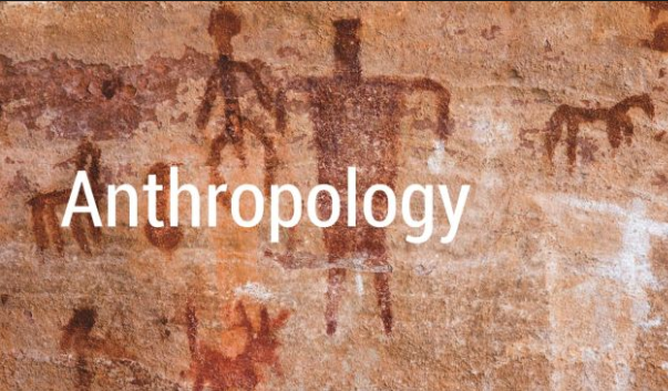 anthropology