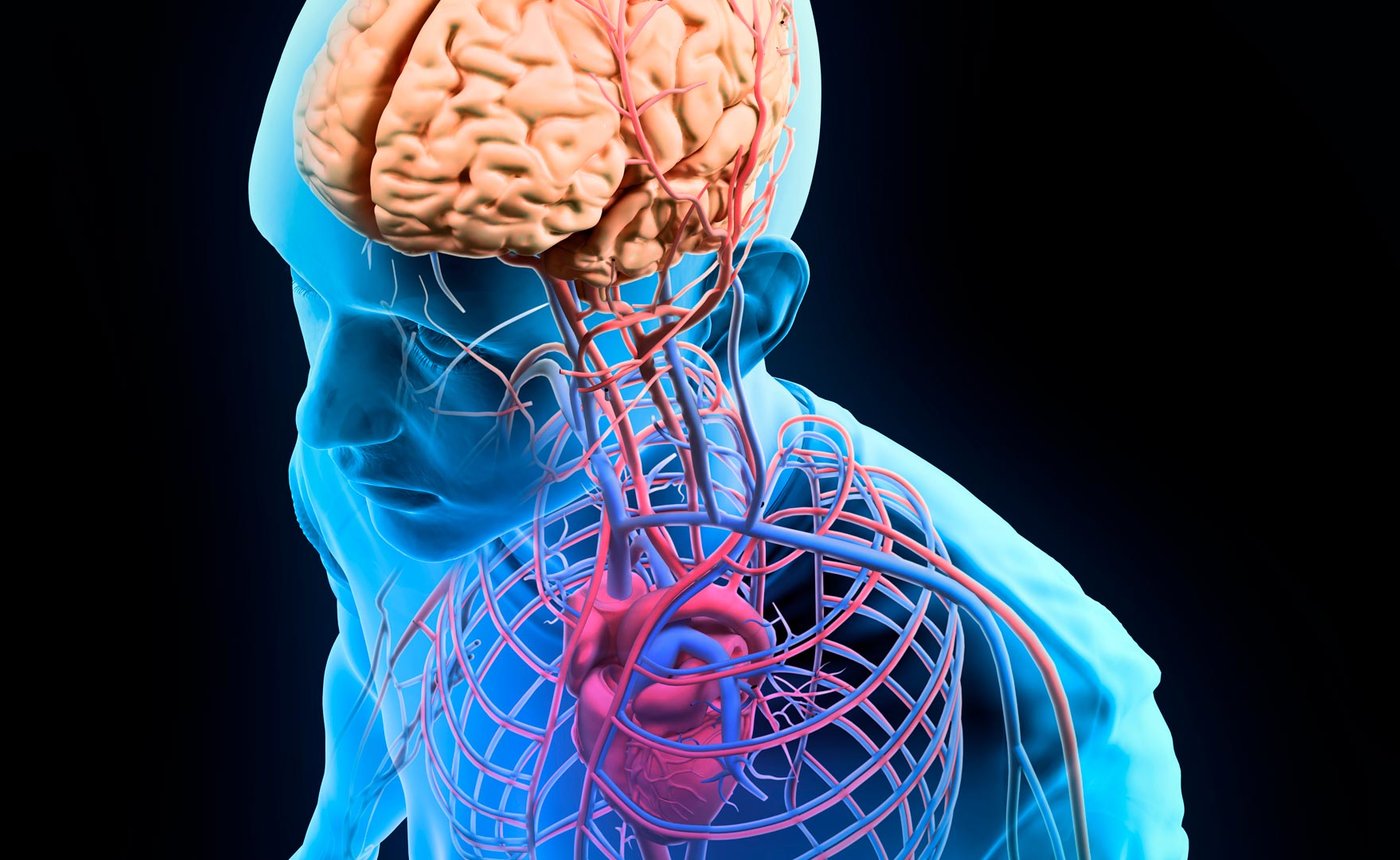 DTCC BIO 120 Anatomy and Physiology