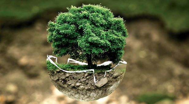 ap environmental science