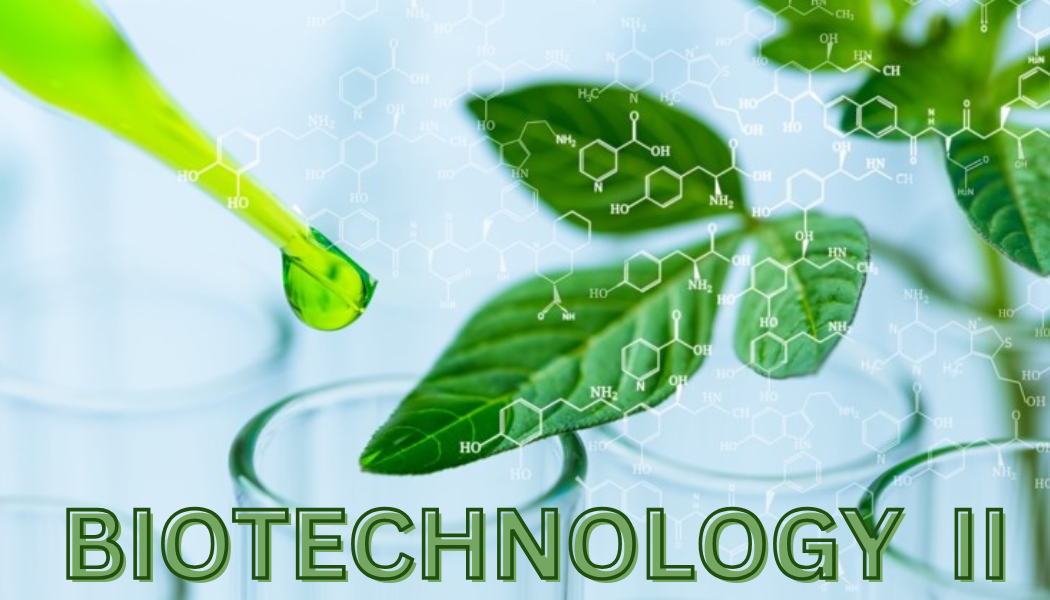 Biotechnology II