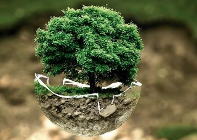AP Environmental Science